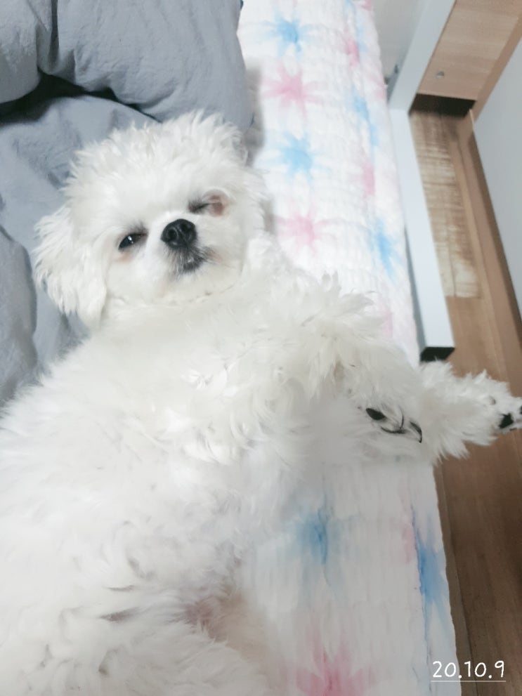  눈부시다 불 꺼라