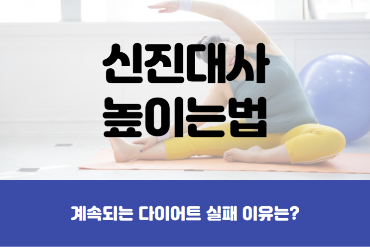  살이 절대 안 빠진다면? 신진대사 높이는 법