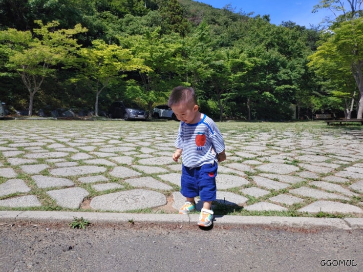  여수 흥국사 산림공원 :: 계곡 찾아 와봤더니 물이 없네 (텐트, 차박, 캠핑카, 취사 금지)