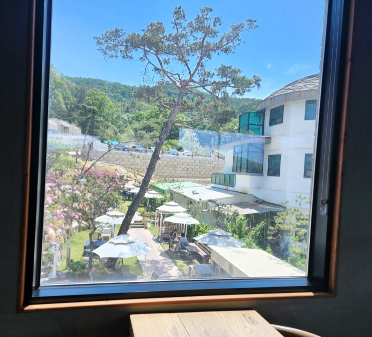  [천안 카페] 태조산 뷰가 유명한 대형카페, VIEW282, 뷰282