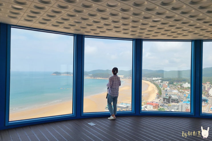  충남 가볼만한곳 태안 만리포해수욕장 천리포수목원 등