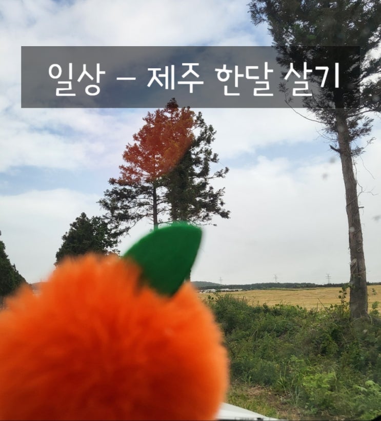 제주한달살기 일상 - 잠깐 휴식이 필요하다
