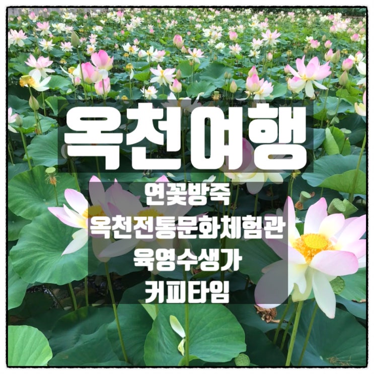 옥천연꽃방죽 옥천전통문화체험관 육영수생가 커피타임 흑임자 팥빙수 옥천여행 후기 옥천연꽃방죽 옥천전통문화체험관 육영수생가 커피타임 흑임자 팥빙수 옥천여행 후기