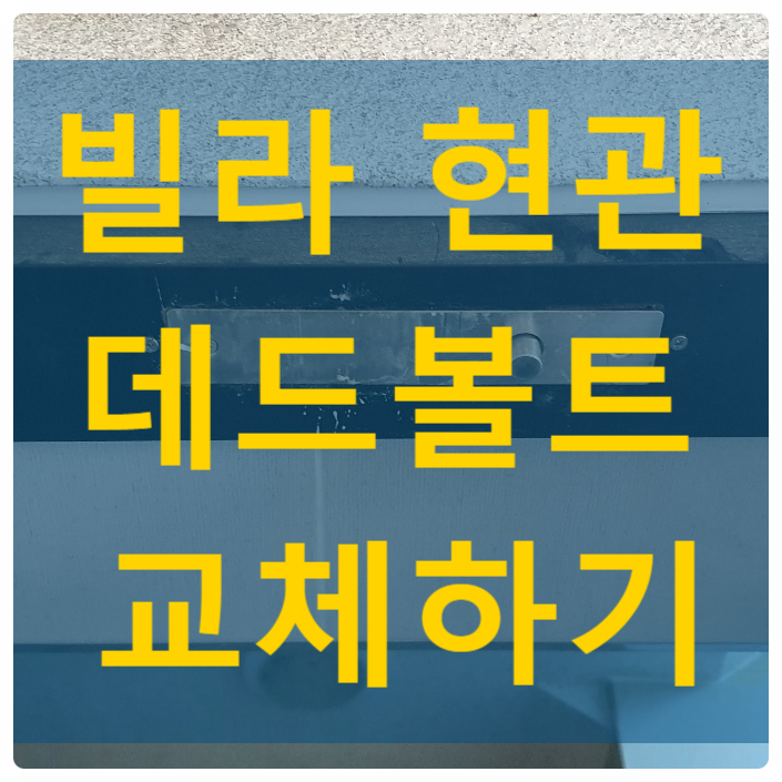  빌라 공동현관 GD-1000 데드볼트 교체 - 나이스 자동문