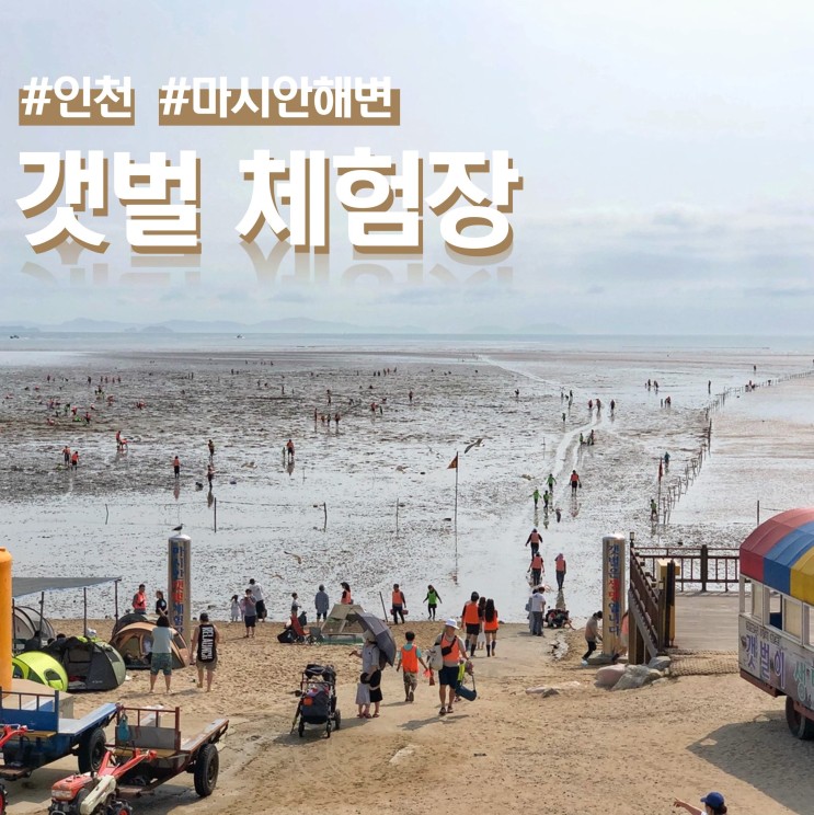 인천 영종도 마시안해변 갯벌체험 물때시간표 (ft. 차박/텐트)