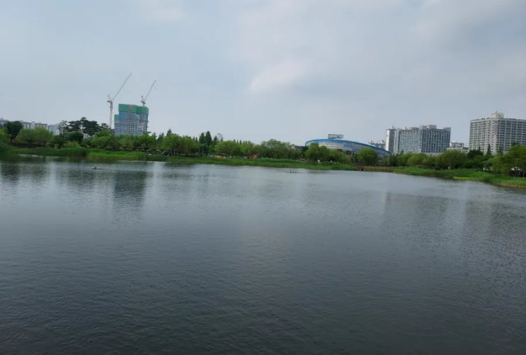  [경기도/부천] 상동 호수공원 인공호수 둘레길 산책로 식물원(수피아) (2)