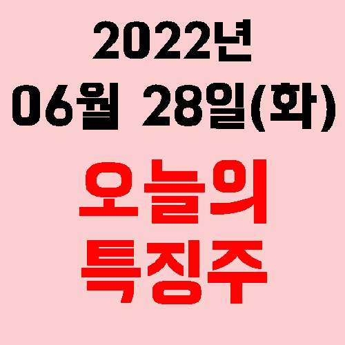  오늘의 시장 특징주 2022년 06월 28일(화)