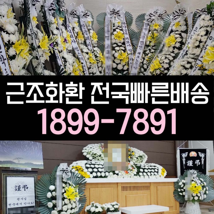  새천년장례식장 추모화환 부고화환 근조화환 조화 꽃집 꽃배달