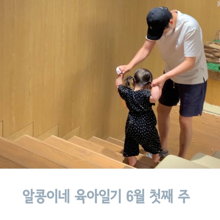  알콩이네 육아일기 6월 첫째 주, 인싸 꼬맹이의 사회생활
