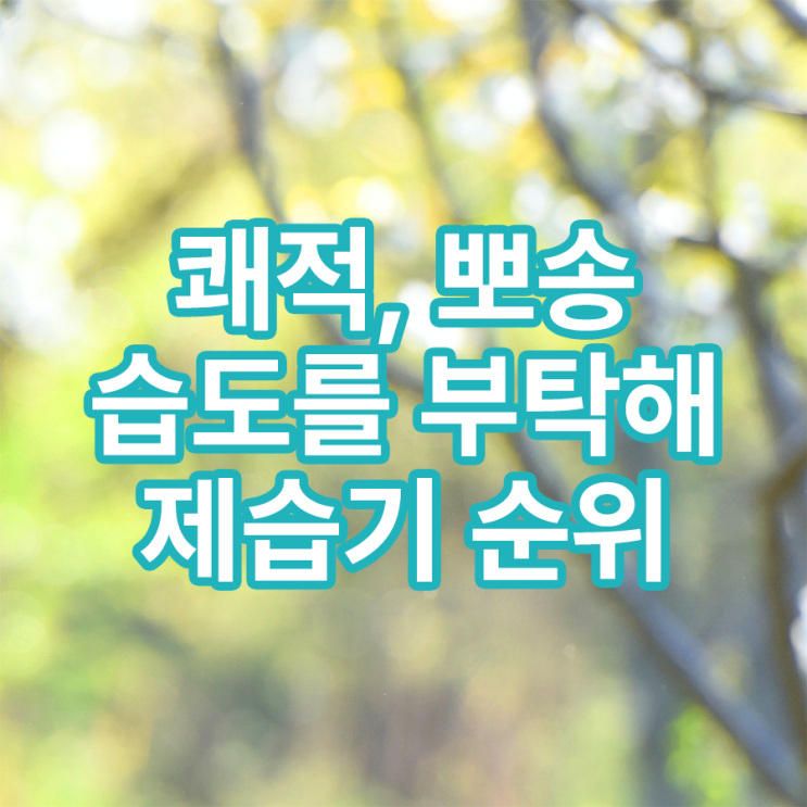 TOP3 제습기 순위 비교 TOP3 제습기 순위 비교
