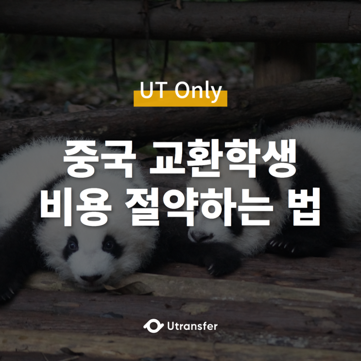  [UT Only] 중국 교환학생 비용 절약하기