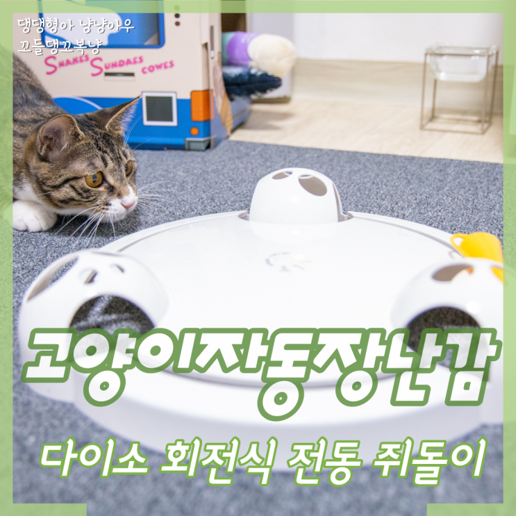  다이소 고양이 자동 장난감, 회전식 전동 쥐돌이