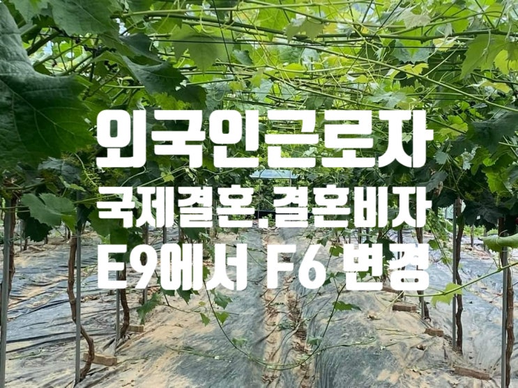 E9 VISA 외국인과 국제결혼으로 F6 결혼비자 변경( D2, D4, D7, E3, E6, E7, E8, E10, F1, F2, F3, H2 등) E9 VISA 외국인과 국제결혼으로 F6 결혼비자 변경( D2, D4, D7, E3, E6, E7, E8, E10, F1, F2, F3, H2 등)