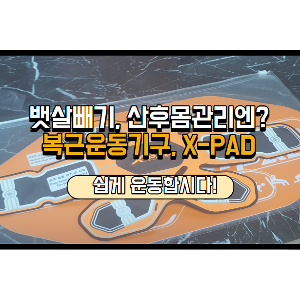  홈트레이닝기구, 엑스패드로 뱃살 빼기 도전해 보세요