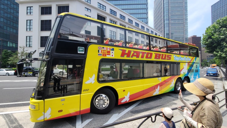 HATO BUS (하토버스) 를 타봤습니다 / 일본 도쿄 2층 관광버스
