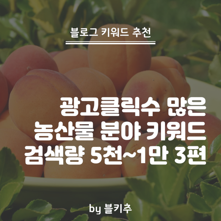  블로그 수익창출에 검색광고 단가가 매우 중요 - 농산물 키워드 3편