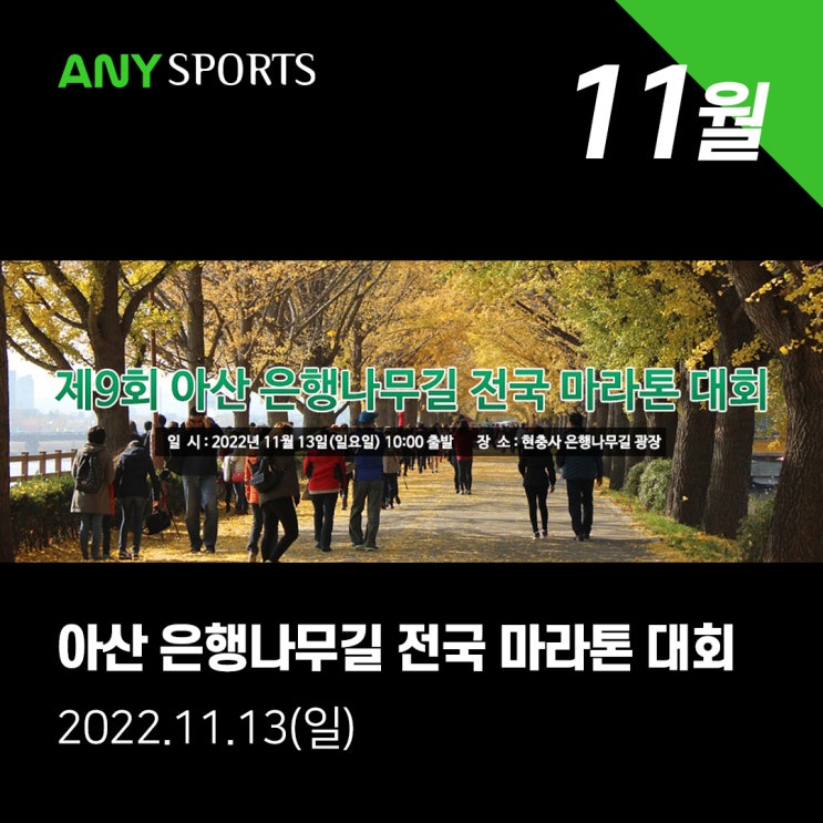 아산은행나무길 전국마라톤대회