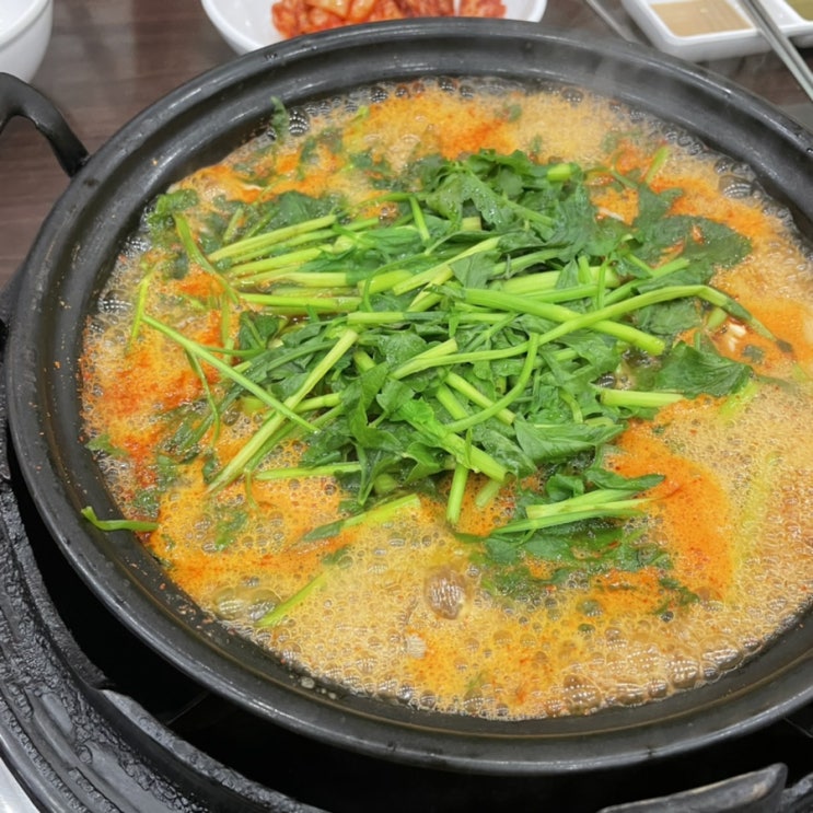  을지로 직장인 점심 맛집 등촌칼국수 종로점