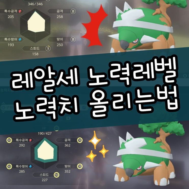  포켓몬 레전드 아르세우스 노력치 노력레벨 올리는 방법 공략