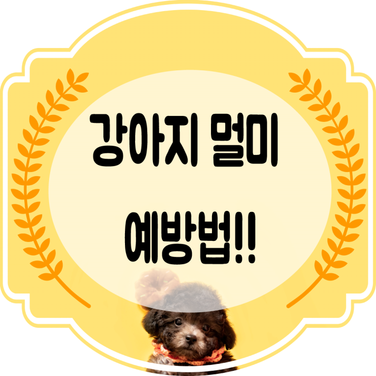  강아지 차 멀미 예방법 ~!! (멀미하는강아지)