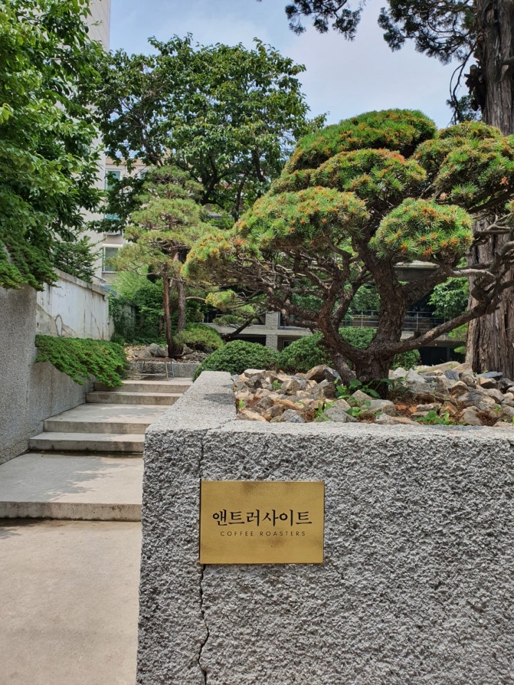 [앤트러사이트 서교점] 고요한 공간의 아름다움