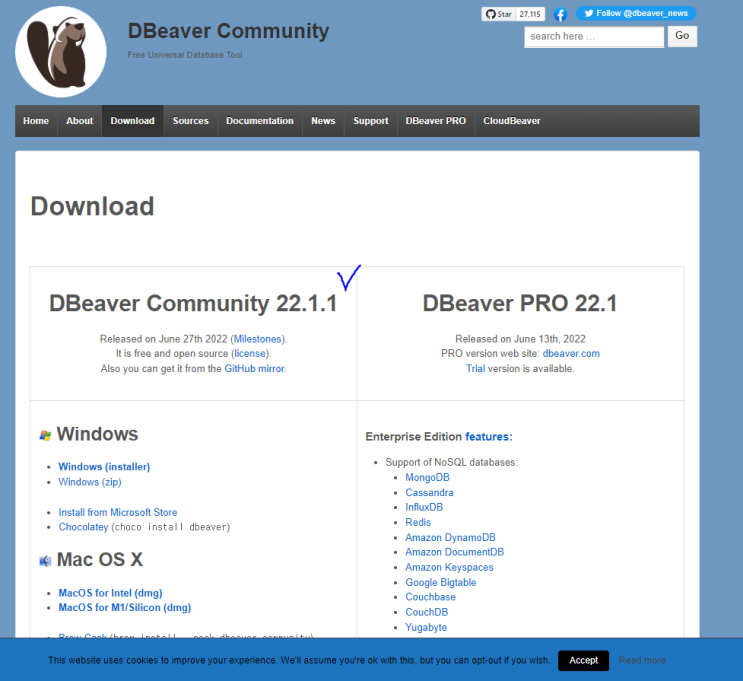  [SQL 입문] SQL 시작을 위한 DBeaver 설치하기