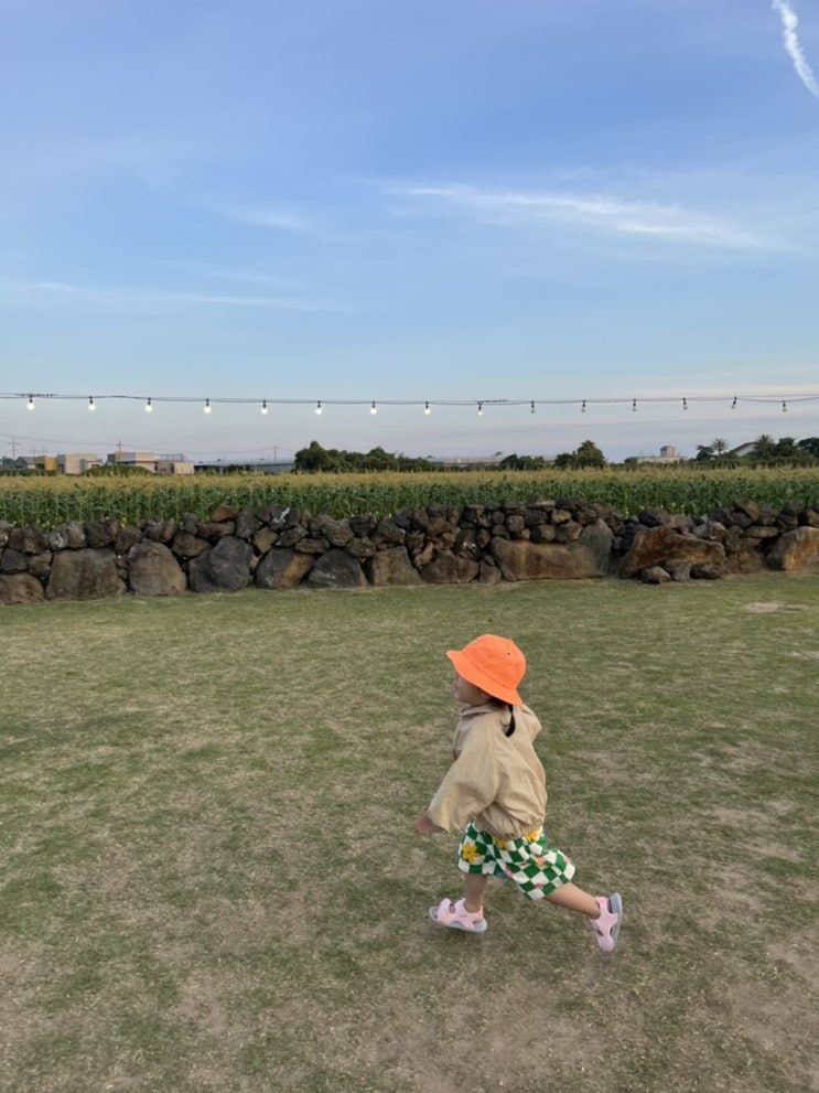 [제주도] 아이랑 가기 정말 좋았던 흑돼지맛집 '제주돗' 반려견동반도 가능