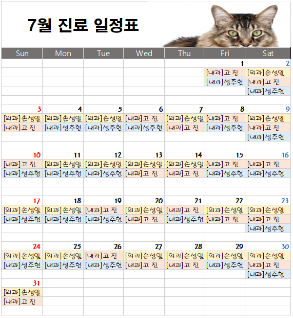 경기광주동물병원 송정동물의료센터 22년 7월 주치의 진료표