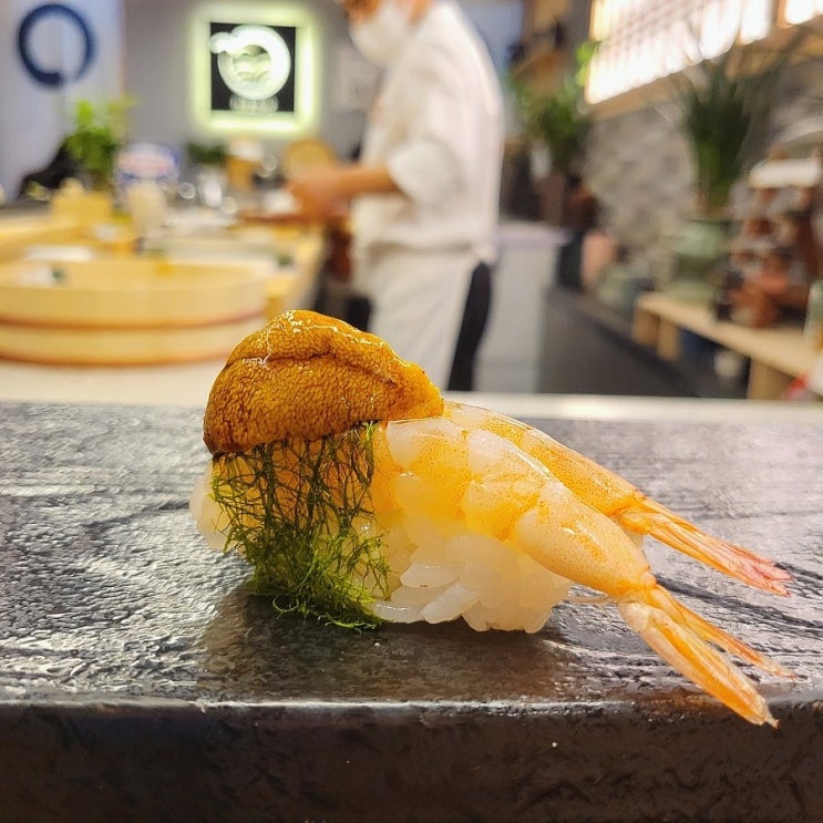  일산 오마카세 보길도 런치 장항동 정발산 맛집 스시