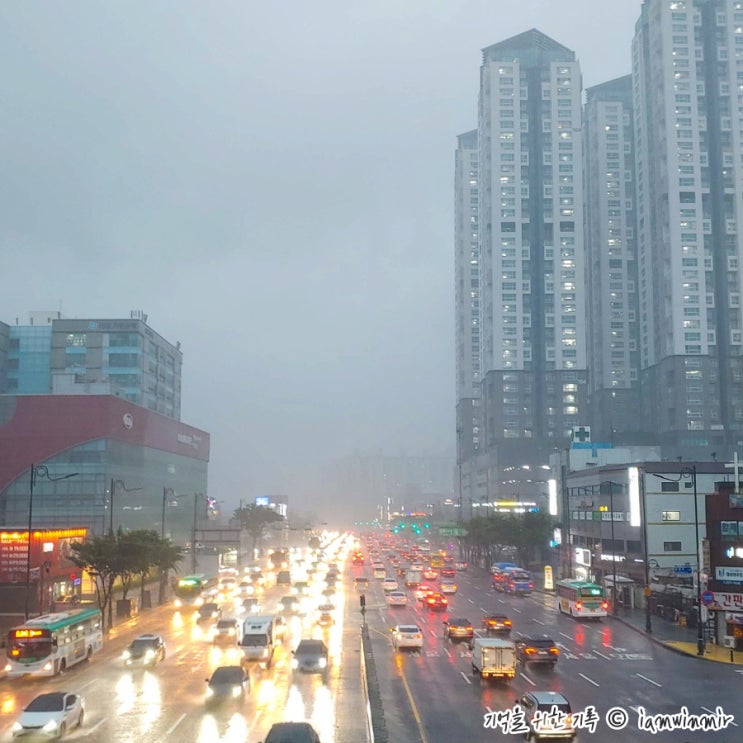 2022.06.20 ~ 26 기록 2022.06.20 ~ 26 기록