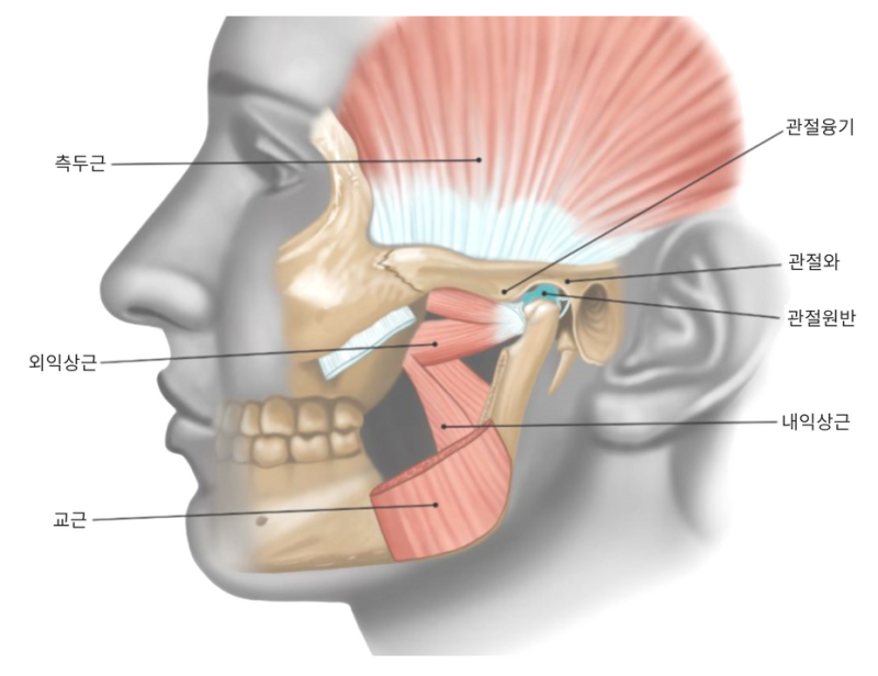턱관절 원인 턱디스크 턱관절장애 8