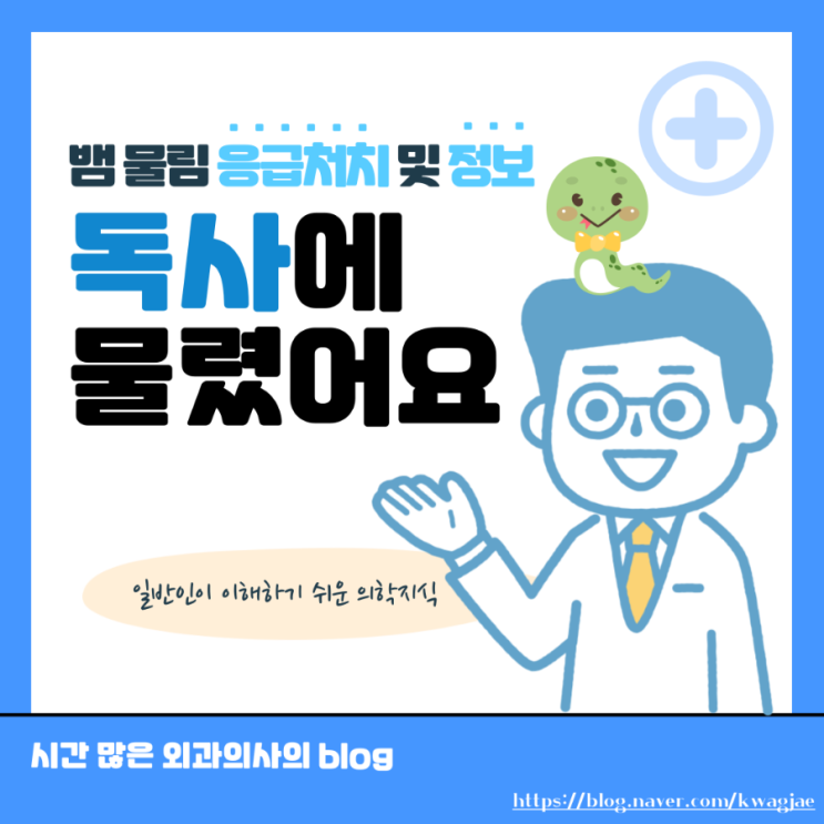  뱀에 물렸어요 : 독사, 살모사에 물렸을 때(뱀 교상) 응급처치.