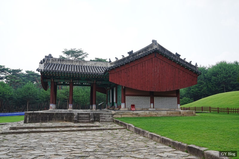 태릉 강릉 태강릉 가는방법 숲길개방 : 네이버 블로그
