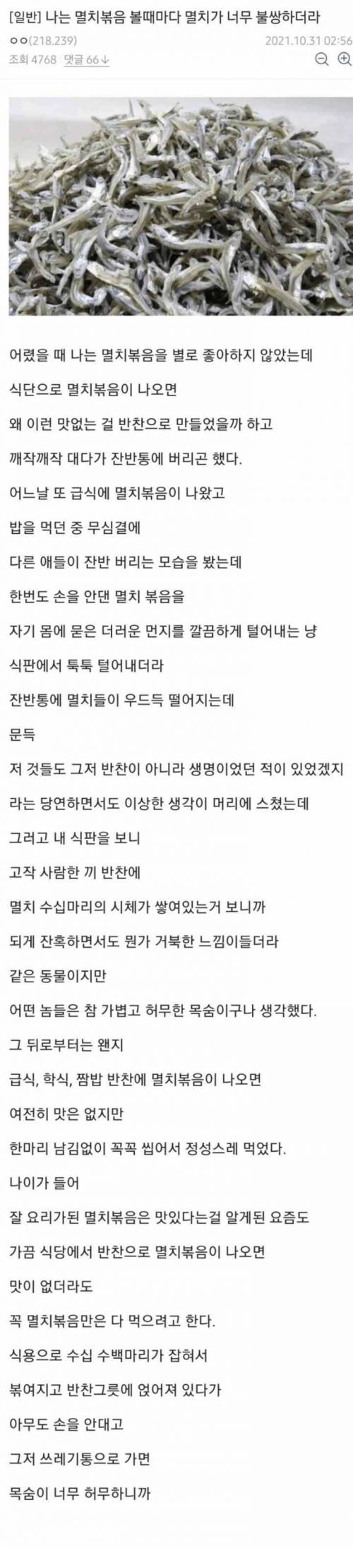  이슈 | 가볍고 허무한 목숨