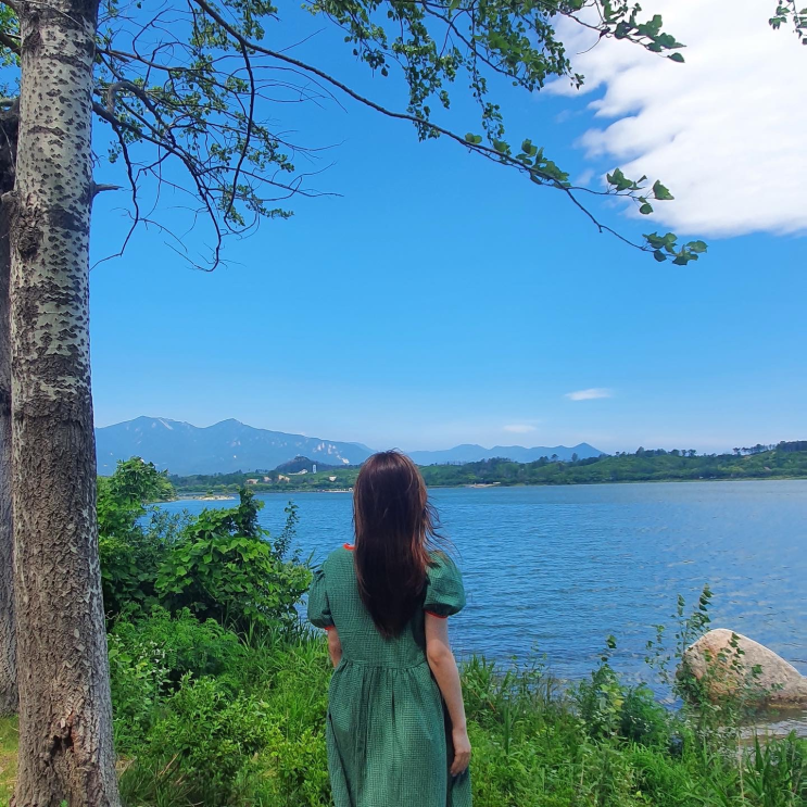  [속초(강릉)]2박3일 뚜벅이 여행(1) / 영랑호 범바위 / 오션뷰카페 바다정원 /오징어난전(오징어회+찜) / 우미동 장어구이