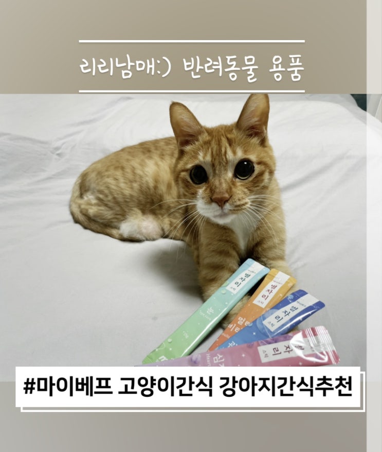 마이베프 별자리스틱 : 고양이간식 강아지간식추천