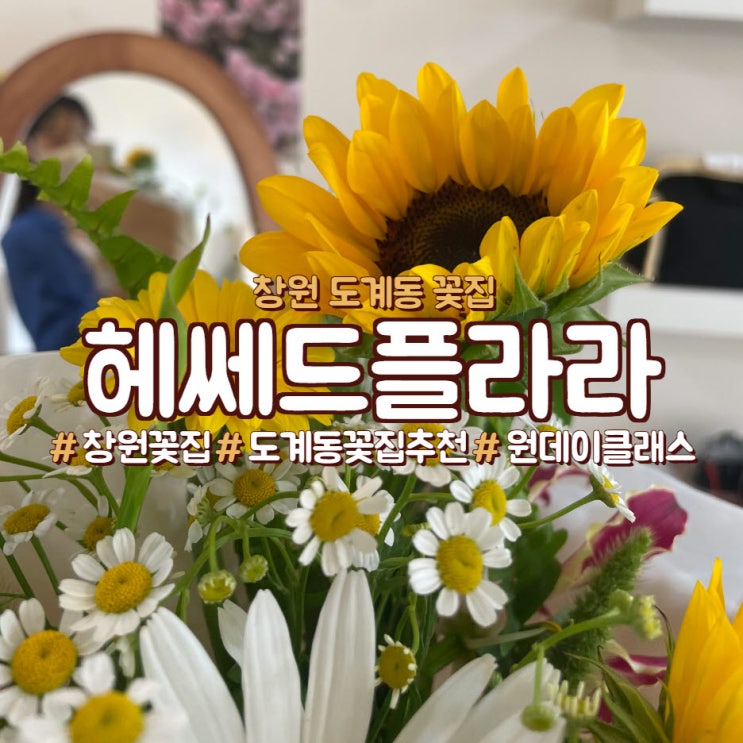  창원 도계동 꽃집으로 추천하는, <헤쎄드플라라>