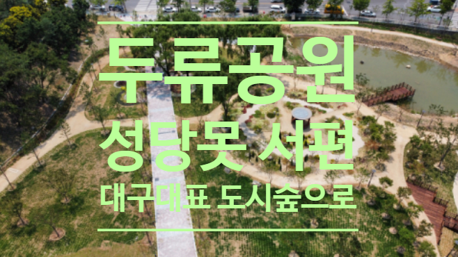  대구의 허파 '두류공원' 성당못 서편 '대구대표 도시숲'으로 탈바꿈