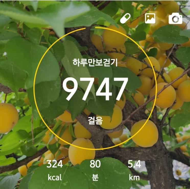  일주일 내내 비 5천보챌린지는?