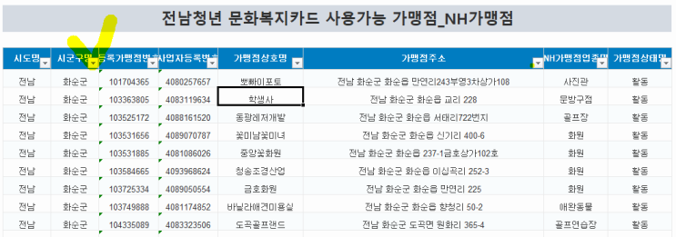  전남 청년문화복지카드 사용처 엑셀파일로 종결합니다
