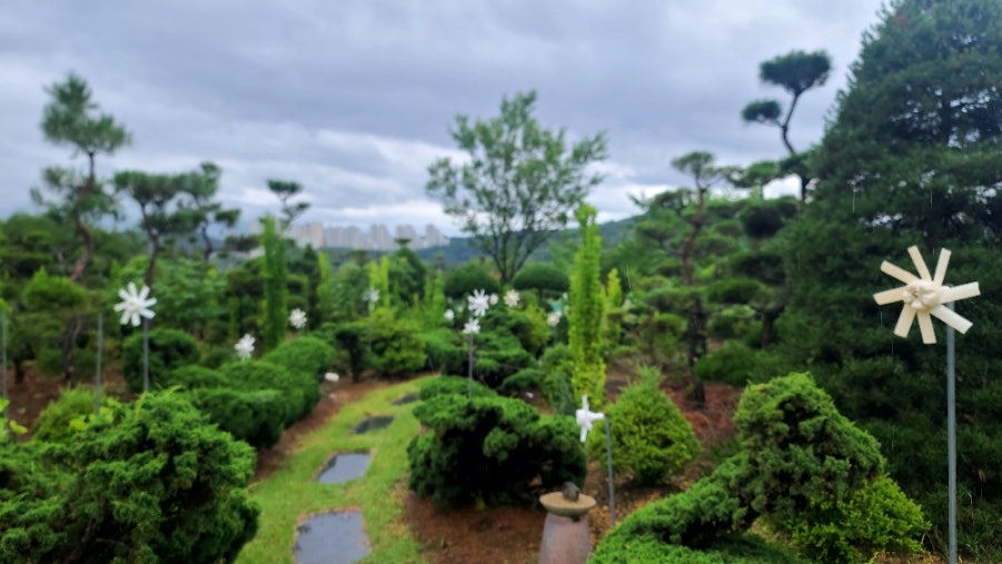 금재수목원 사진 3
