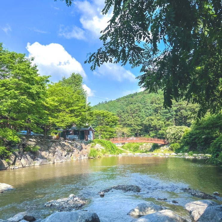  광주번천천, 사람없는 경기도 청정계곡 으로 물놀이 가즈아!