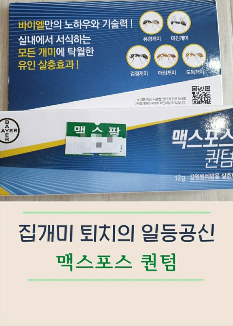  맥스포스 퀀텀으로 여러 집개미 종류 퇴치 후기