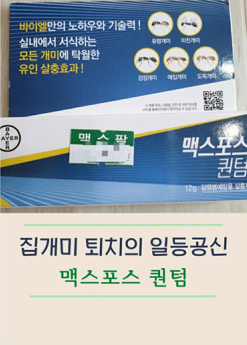 맥스포스 퀀텀으로 여러 집개미 종류 퇴치 후기