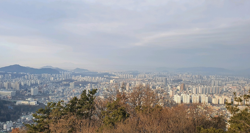 光州를 부탁해! - 강기정 곧 광주시장에 대한 기대.
