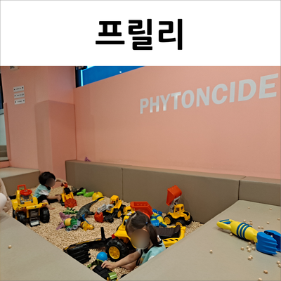  동탄2 프릴리(Freely) 아이 움직임이 한눈에 들어오는 키즈카페