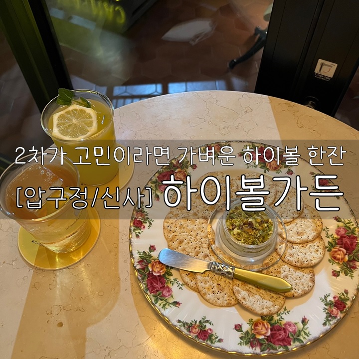  [압구정/신사]하이볼가든, 2차가 고민이라면 가벼운 하이볼 한잔?!