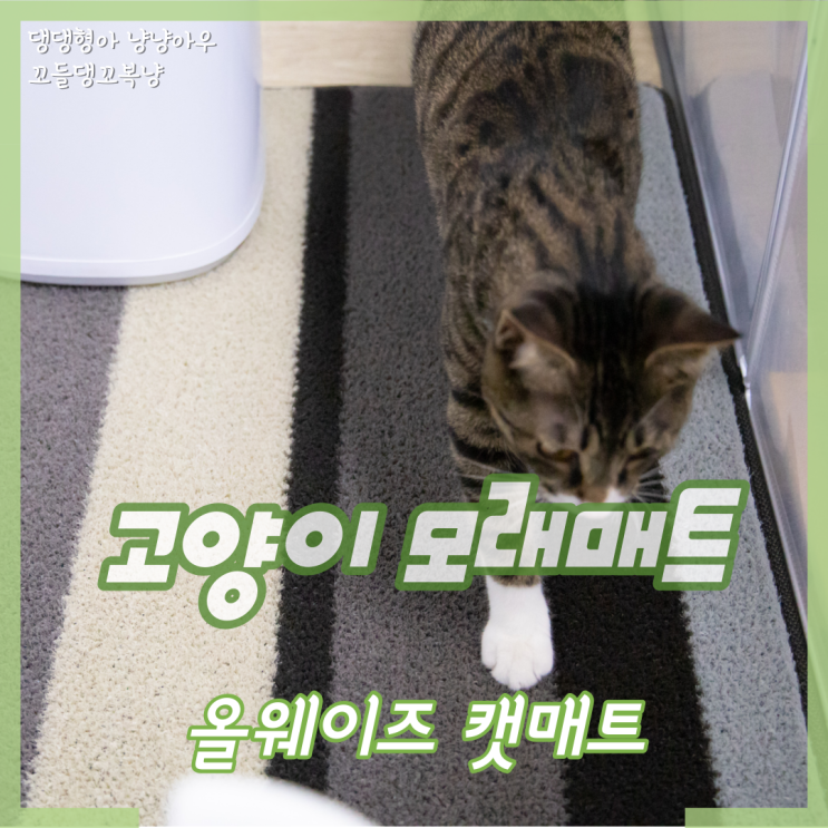  고양이 모래매트 포집력 좋아 마음에 든 올웨이즈 캣 발매트