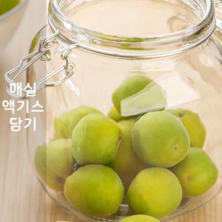  매실액기스담기 손질부터 매실통 숙성 방법 알려드림!