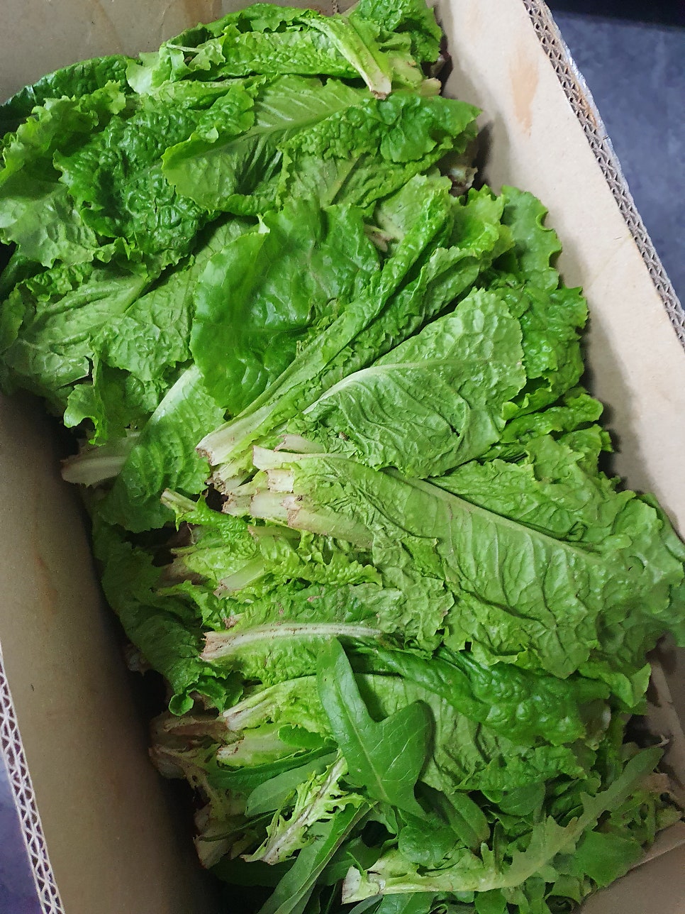 마당갈비 사진 5